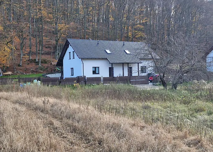 Kaszuby Punkt Klonowo Przywidz Sauna Klimatyzacja