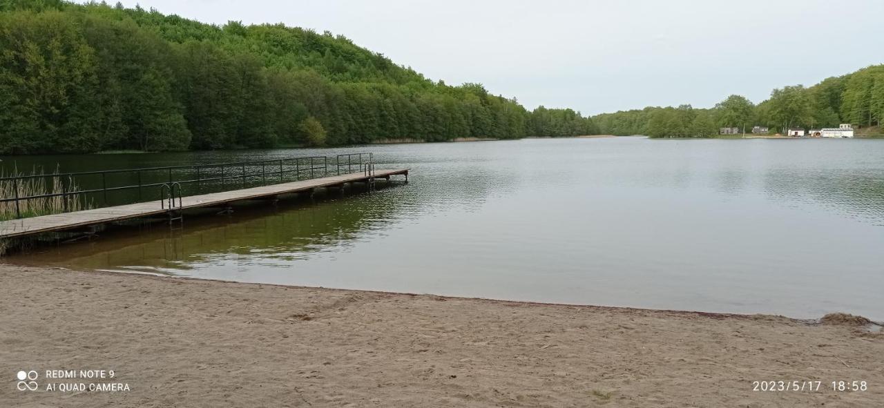 Kaszuby Punkt Klonowo Przywidz Sauna Klimatyzacja Apartment *