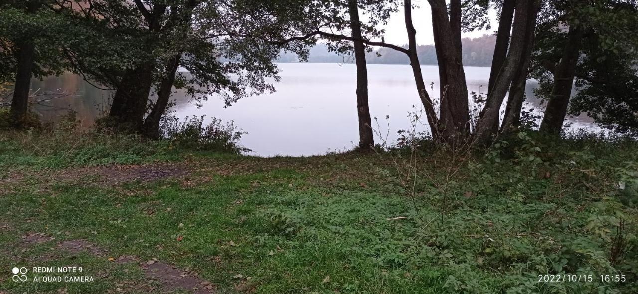 Kaszuby Punkt Klonowo Przywidz Sauna Klimatyzacja Apartment Przywidz (Gdansk)