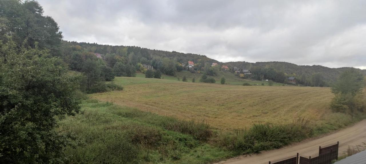 Kaszuby Punkt Klonowo Przywidz Sauna Klimatyzacja * Przywidz (Gdansk)