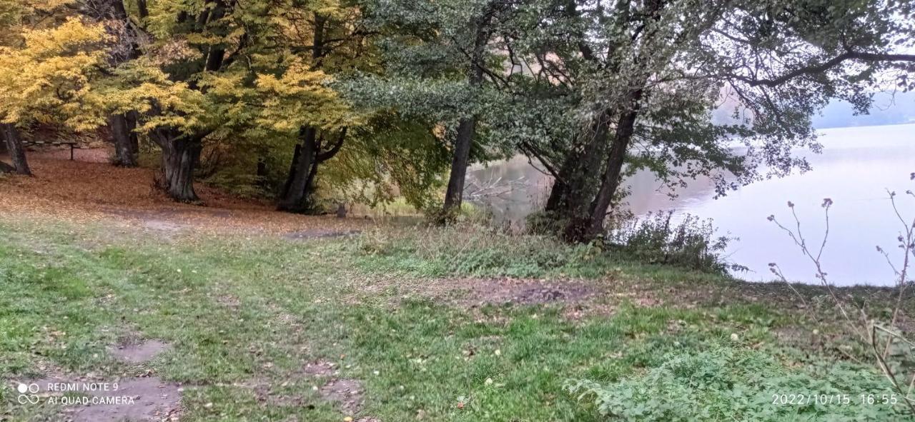 Apartment Kaszuby Punkt Klonowo Przywidz Sauna Klimatyzacja *